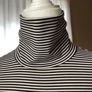 Uniglo Stretch Turtleneck